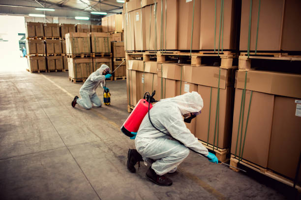 Best Wasp Removal Services  in Rochester, MI