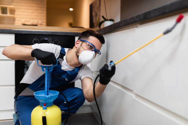 Best Wildlife Control Services  in Rochester, MI