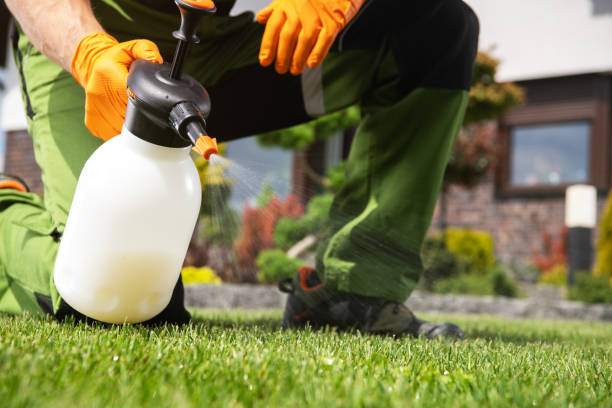 Best Pest Removal Services  in Rochester, MI