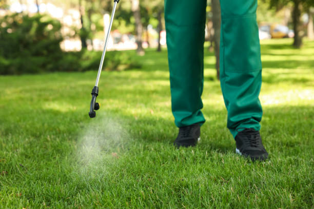 Best Pest Control for Homes  in Rochester, MI