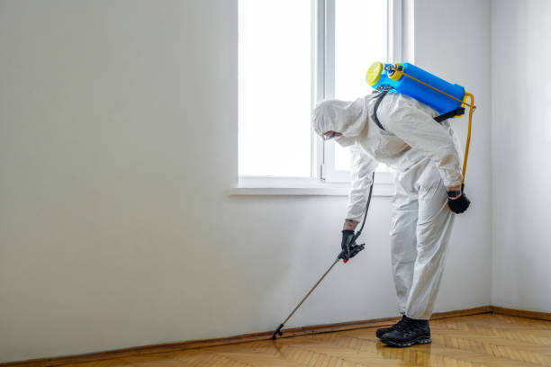 Best Local Pest Control Services  in Rochester, MI