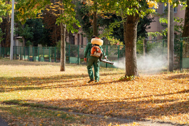 Insect Control in Rochester, MI