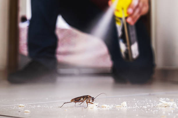 Pest Prevention Services in Rochester, MI