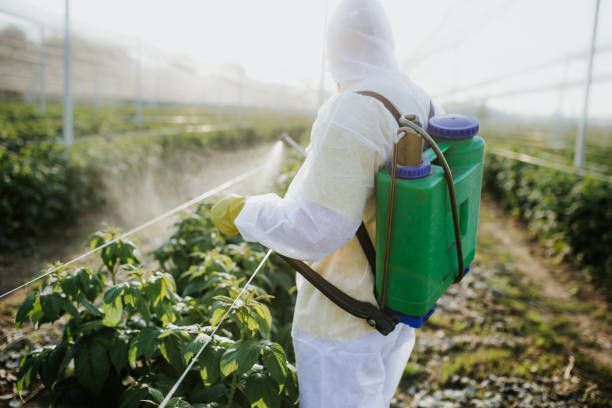Best Flea Control Services  in Rochester, MI